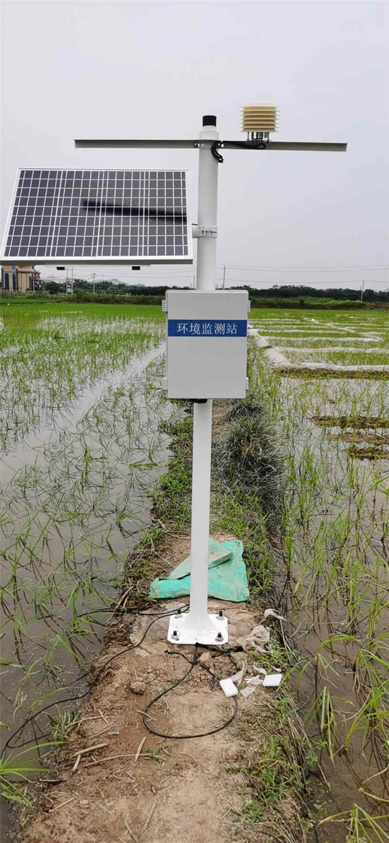 Estudio de caso del sistema de monitoreo de la humedad del suelo