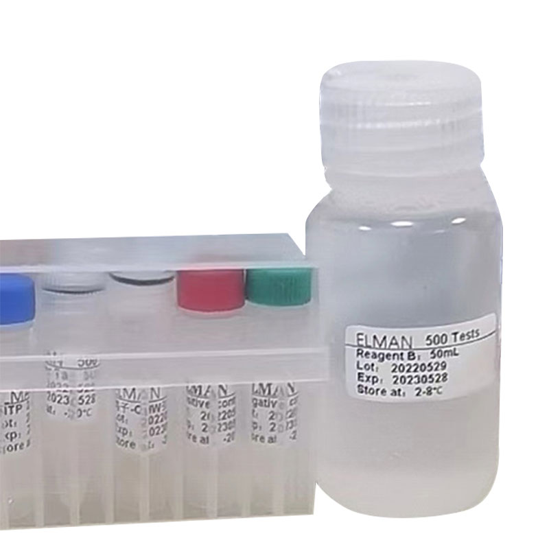 Prueba de vuelo de palomas mensajeras