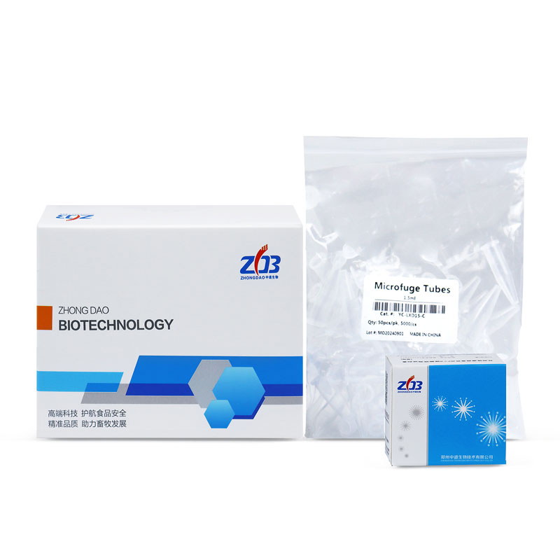 African Swine Fever Virus Detection Kit